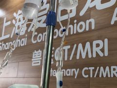 -爱侣宠医·鹦鹉专科·小型哺乳类·异宠专科(灵石路店)