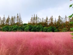 -嘉北郊野公园