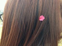 -神光山国家森林公园