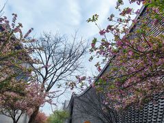 -国际非物质文化遗产博览园