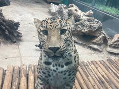 -昆明动物园