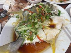 金枪鱼-车头老二大排档