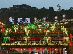 -枇杷园食为鲜火锅(南山店)