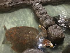 -杭州海底世界