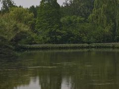 -溱湖国家湿地公园