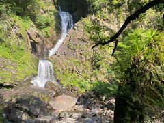-石台牯牛降景区