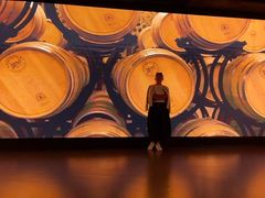 -北京张裕爱斐堡酒庄