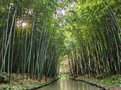 -同里国家湿地公园