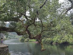 -上坦村