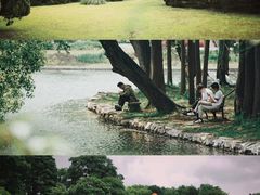 -上海共青森林公园