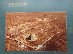 -宁夏博物馆