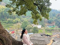 -杨家堂村