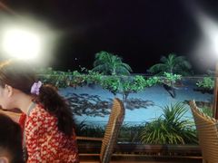 -渔家火锅·海鲜自助餐·演艺(亚龙湾天域酒店)