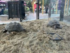 -灵玲国际马戏城