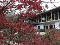 -塔川景区