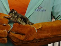 -太平洋海底世界