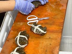 -阳澄湖大闸蟹·琼灵阁牌品牌连锁(吴中总店)