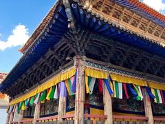 -塔尔寺菩提树
