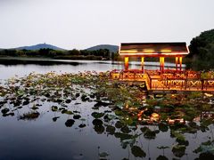 -上海市保健医疗中心