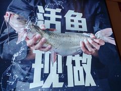 -老板恋上鱼(恒隆广场店)