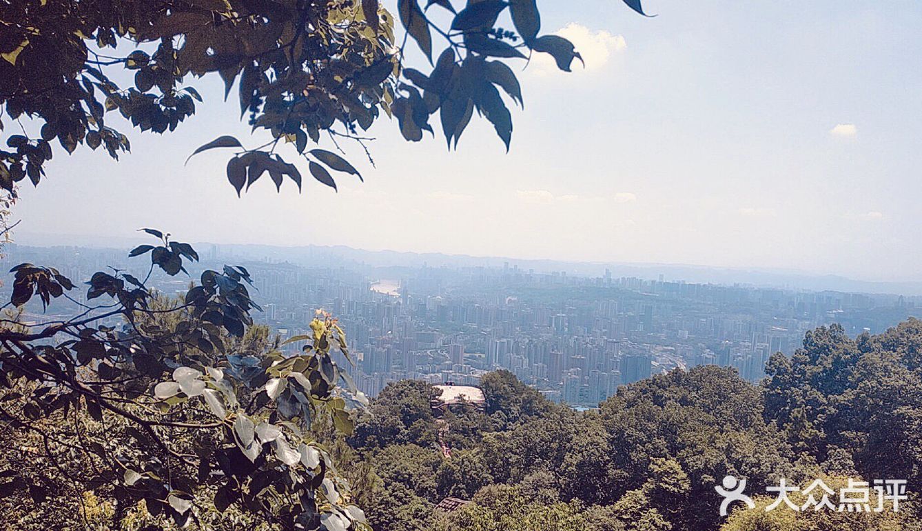 重慶後花園歌樂山森林公園遊玩攻略