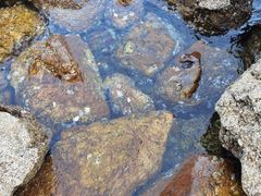 -燕窝岭