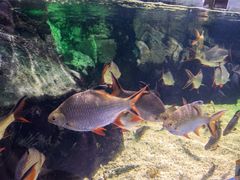 -太平洋海底世界