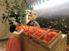 -济州岛泰迪熊博物馆