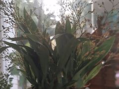 -手舒·采耳按摩·影院足道spa(莫愁湖东路店)