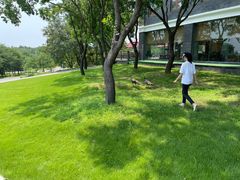 -东海森林温泉度假酒店