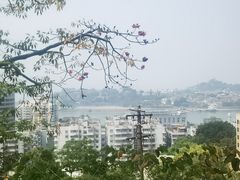 -鸿山公园