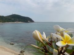 -日落吧·海景咖啡厅·餐酒吧·鸡尾酒·下午茶·乐队表演·浪漫夕阳·三亚文华东方酒店