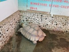 -上海大自然野生昆虫馆