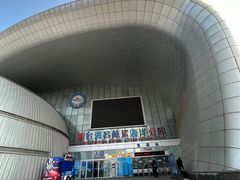 -烟台海昌鲸鲨海洋公园