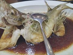 -茶港食堂(武昌店)
