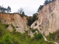 -彩色沙林风景区
