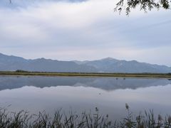 -野鸭湖国家湿地公园