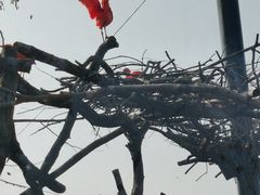 -武汉动物园