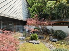 -久宴·天目湖大鱼头(恐龙园店)