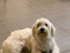-白熊咖啡(闽江大道店)