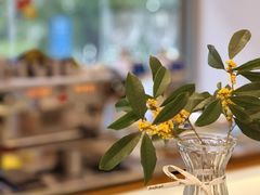 -Beans Solo豆号咖啡(百家湖花园店)