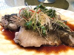 -寻味顺德·顺峰山庄(大良店)