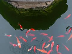 -湘子庙