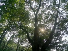 -中国人民解放军联勤保障部队第九〇三医院(九里松院区)