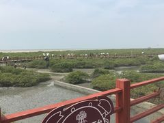 -北海金海湾红树林生态旅游区
