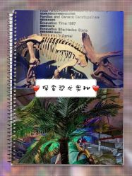 -恐龙探索乐园(磁器口店)