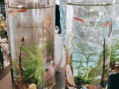 -L.C FLORA花予你(城西银泰城店)