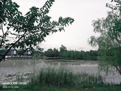 -白鹭湾湿地公园