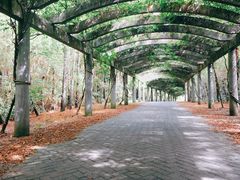 -上海海湾国家森林公园