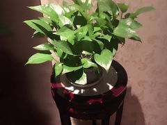 -北纬37°SPA养身会馆(湖西店)